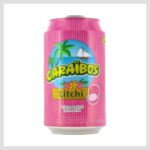 CARAIBOS LITCHI 33CL X 24