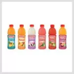 JUS DE PAPAYA 500ML X 12